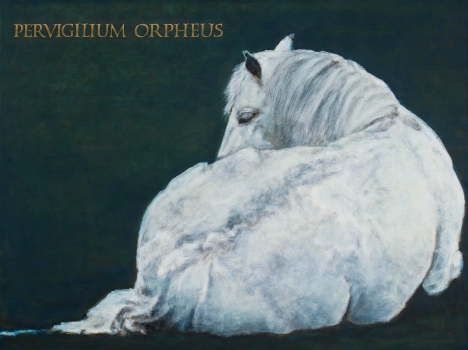 Pervigilium Orpheus